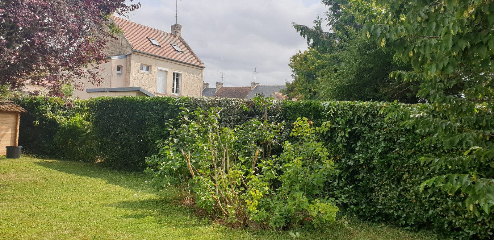 After image