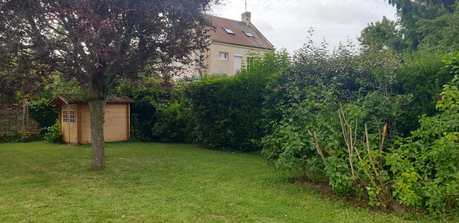 Before image