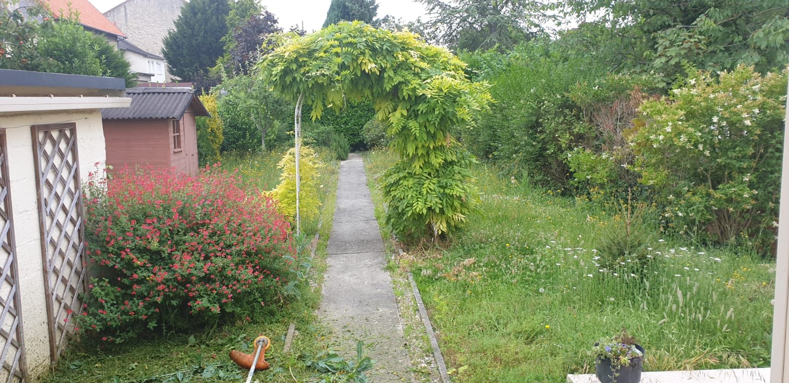 Before image