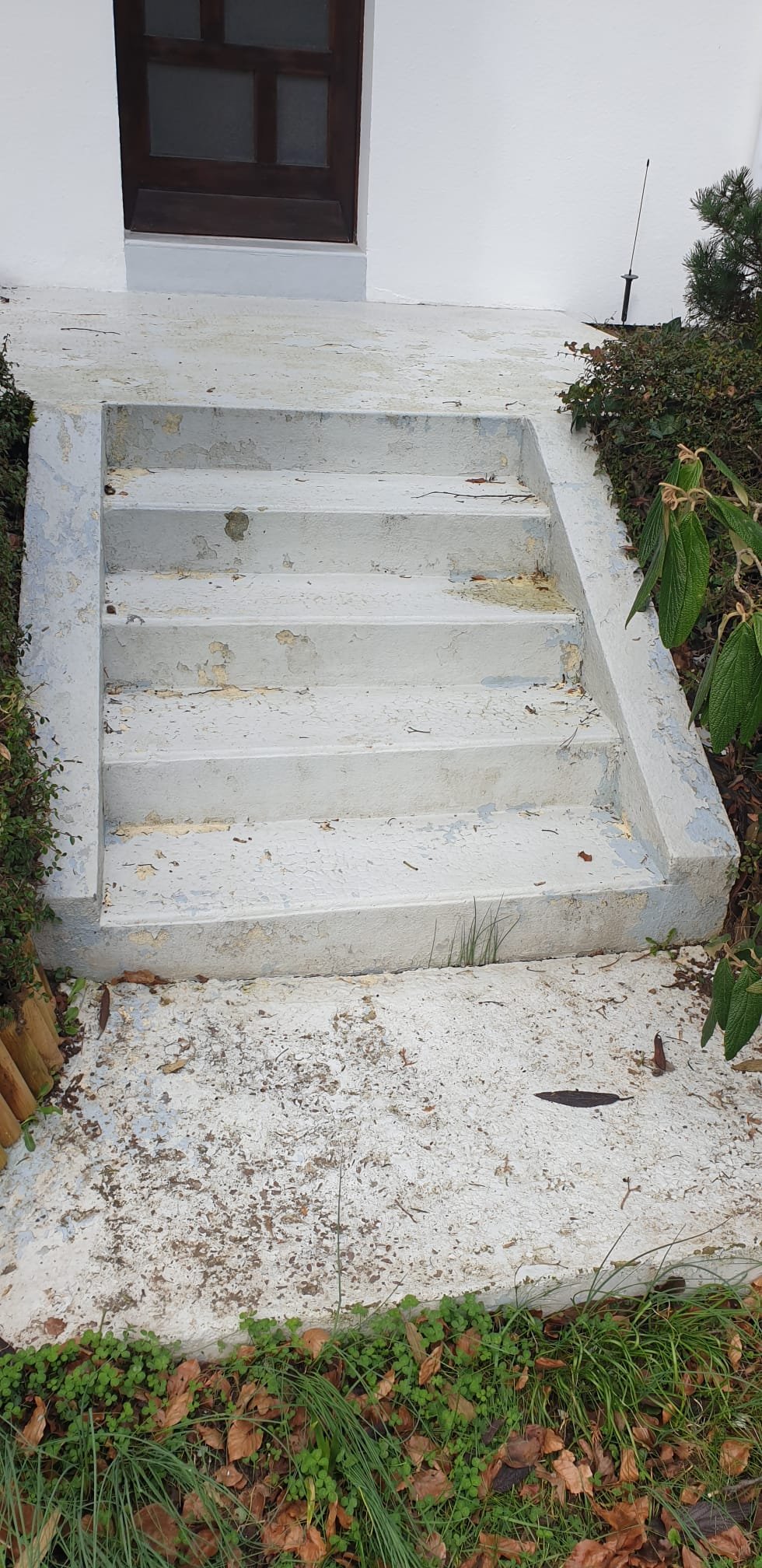 Before image